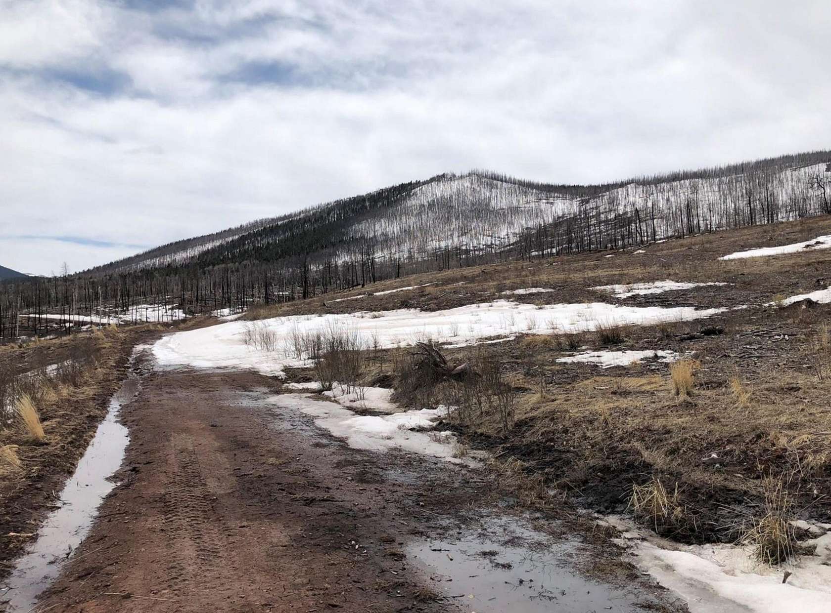 5 Acres of Land for Sale in Fort Garland, Colorado