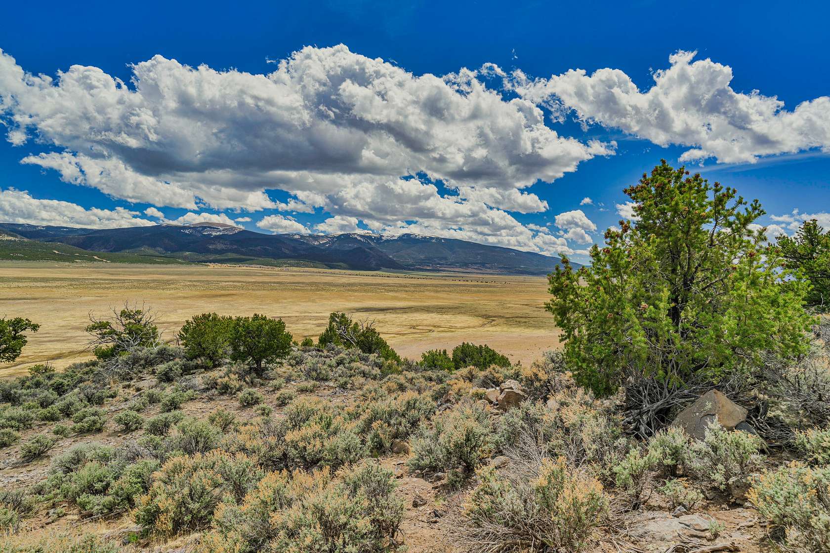 2 Acres of Land for Sale in San Luis, Colorado