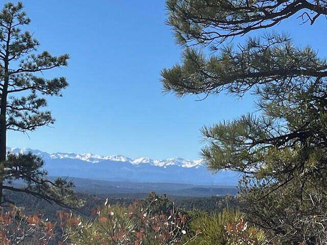 90 Acres of Land for Sale in Boncarbo, Colorado