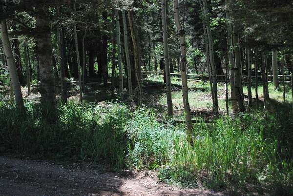 Land for Sale in Cuchara, Colorado