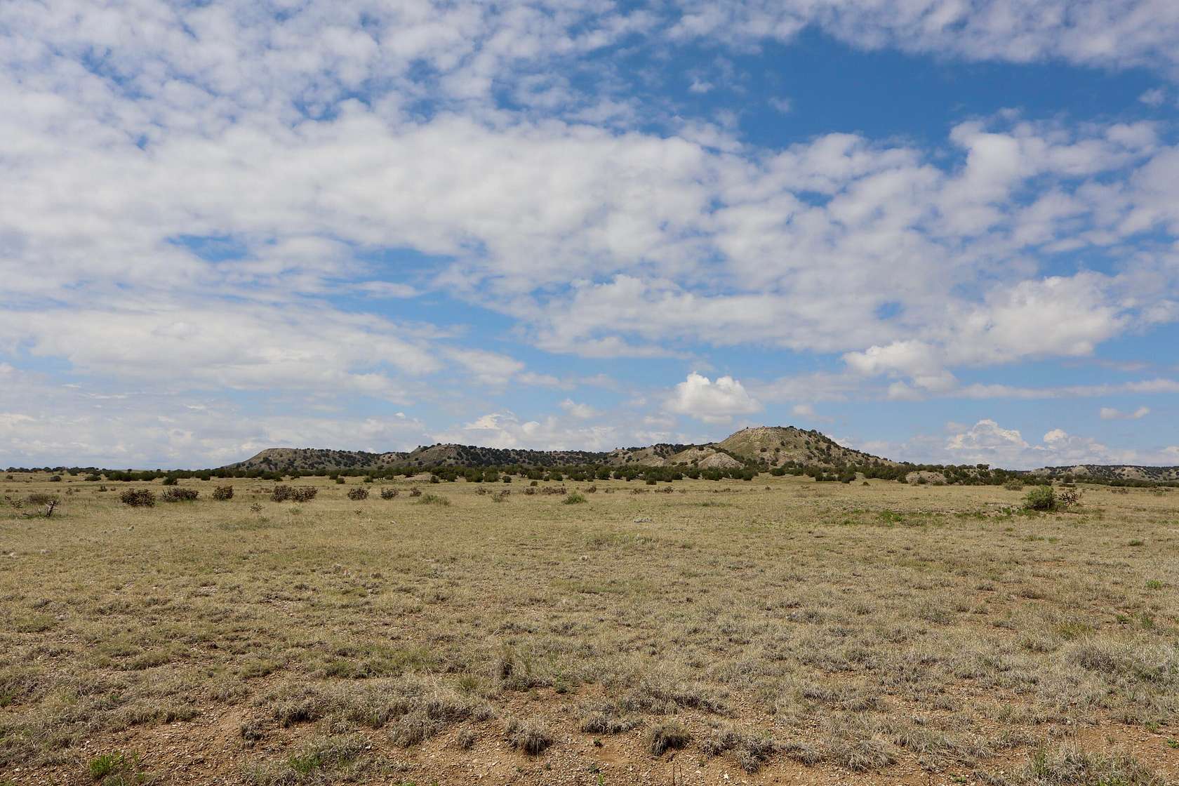 40 Acres of Land for Sale in Model, Colorado