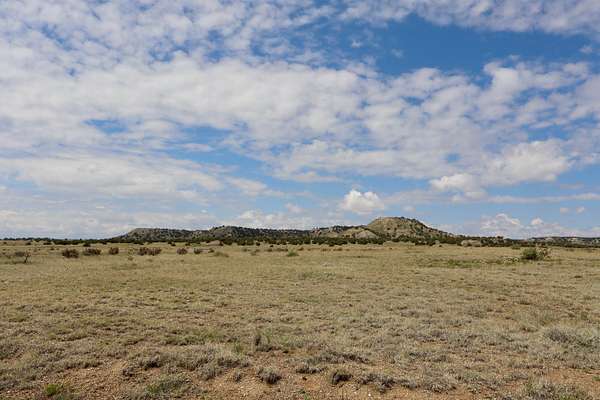 40 Acres of Land for Sale in Model, Colorado