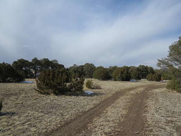 1 Acre of Land for Sale in Trinidad, Colorado