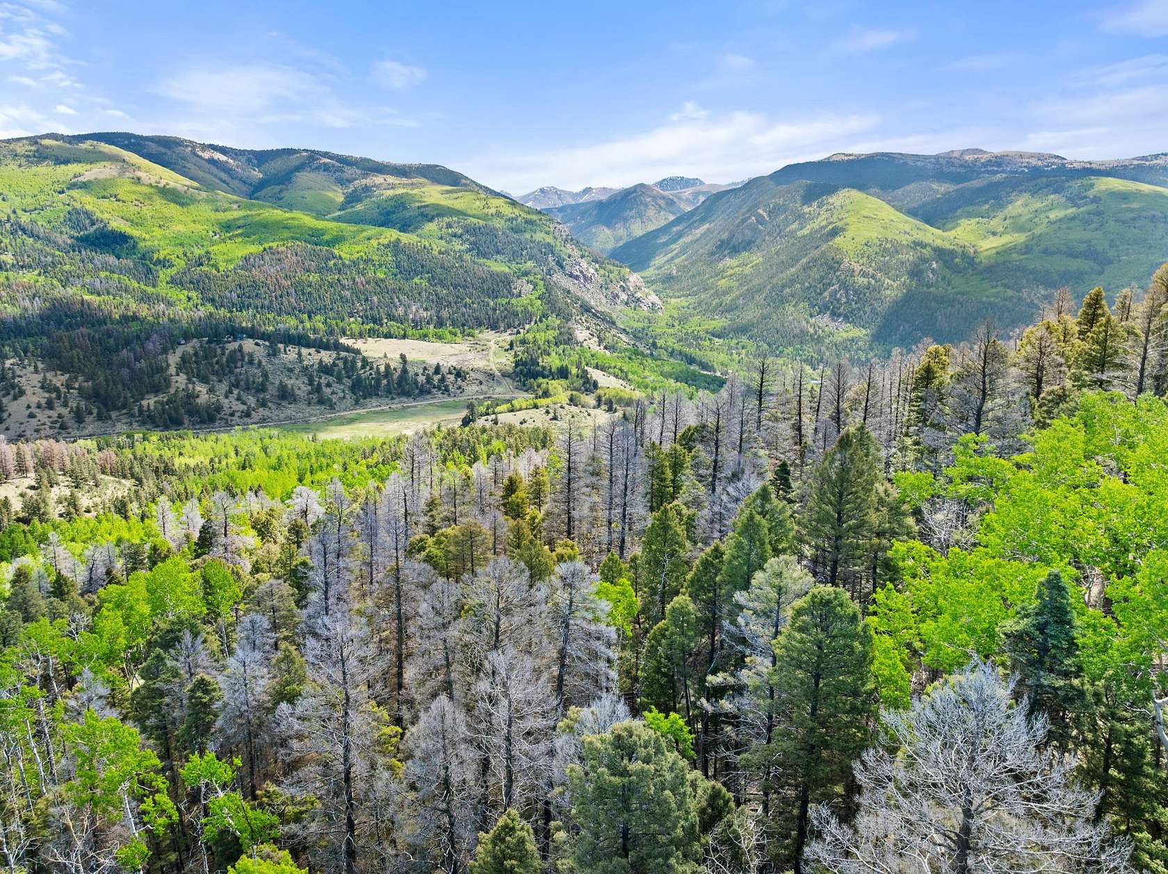 5 Acres of Land for Sale in Fort Garland, Colorado