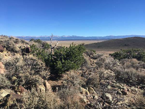 40 Acres of Land for Sale in Sanford, Colorado