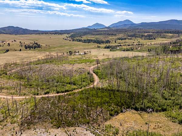 1 Acre of Land for Sale in Fort Garland, Colorado