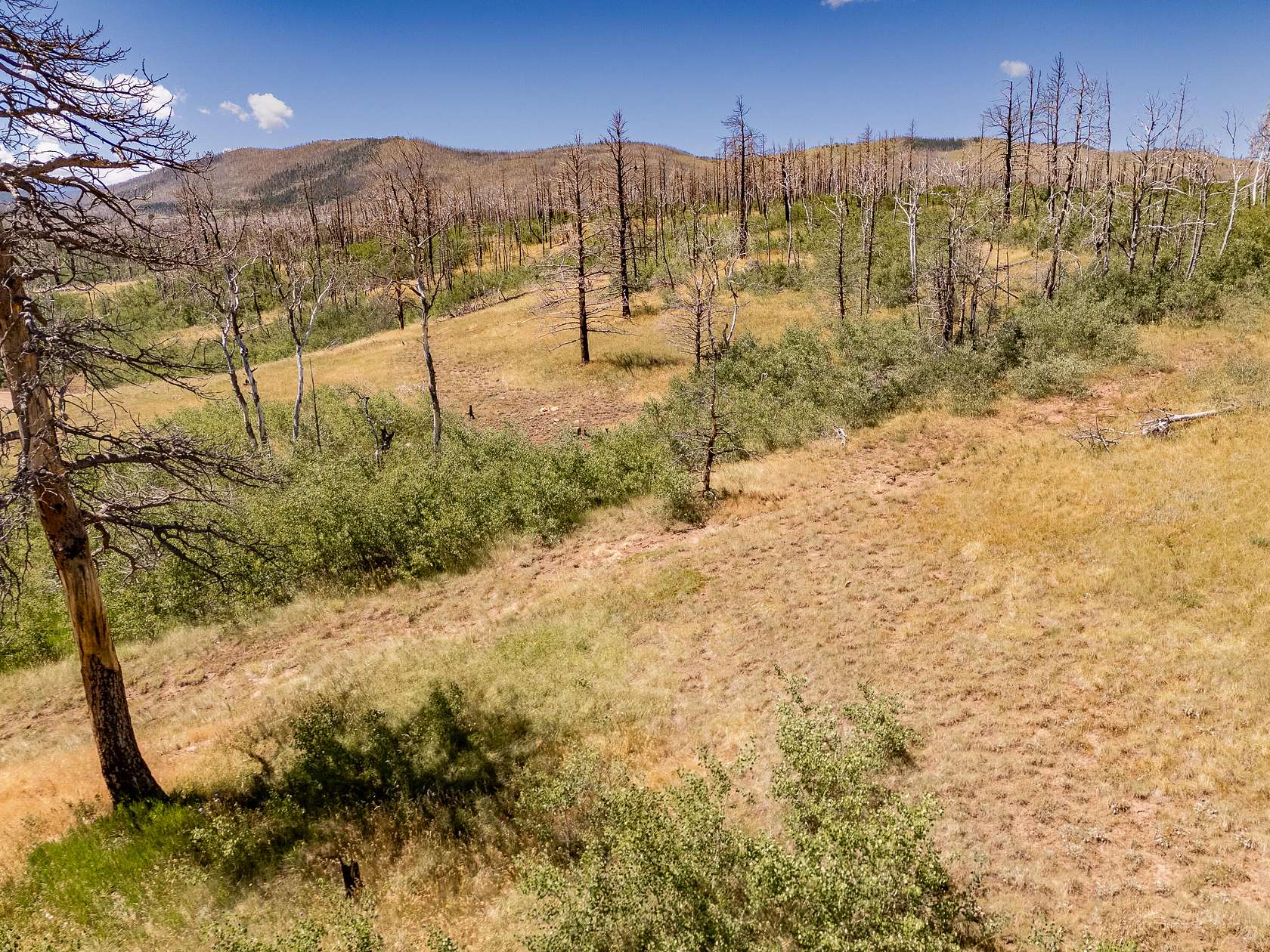 1 Acre of Land for Sale in Fort Garland, Colorado