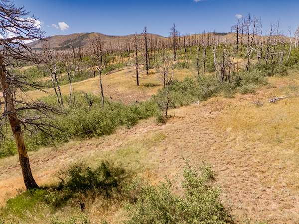 1 Acre of Land for Sale in Fort Garland, Colorado
