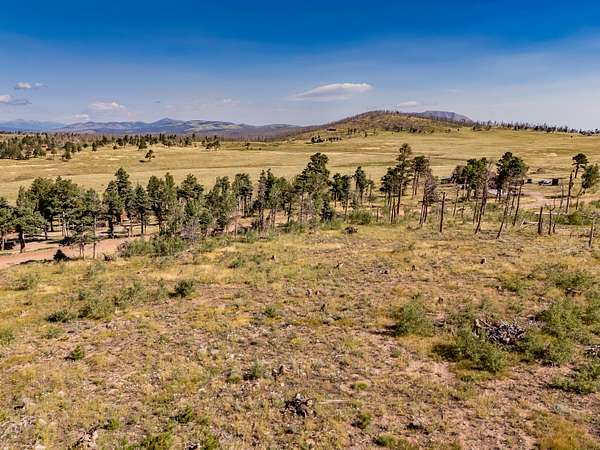 1 Acre of Land for Sale in Fort Garland, Colorado