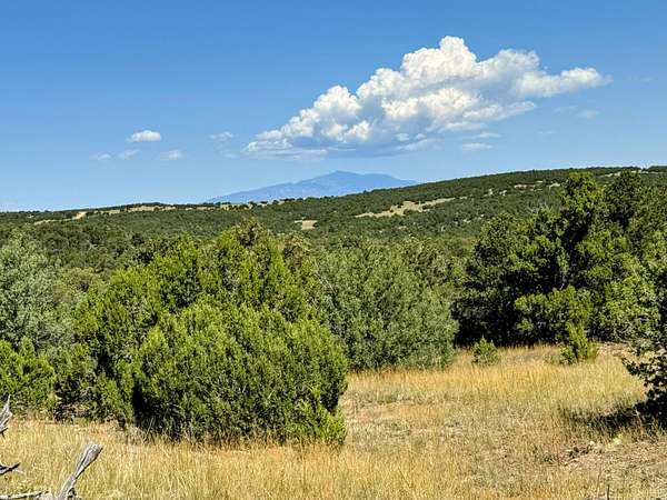 36 Acres of Land for Sale in Walsenburg, Colorado