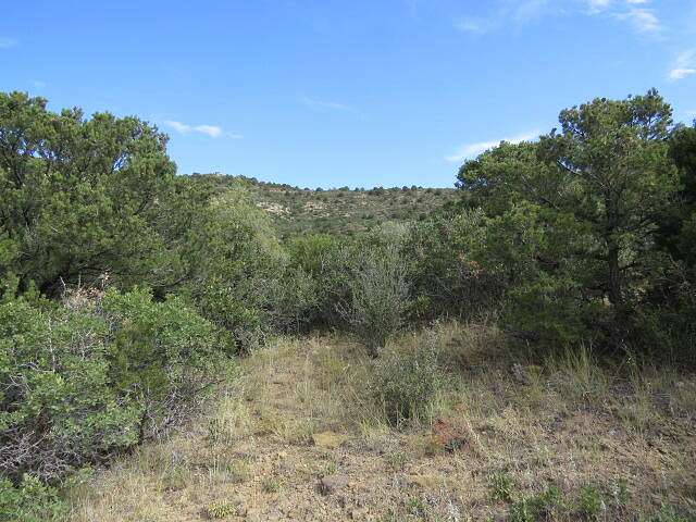 40 Acres of Land for Sale in Trinidad, Colorado