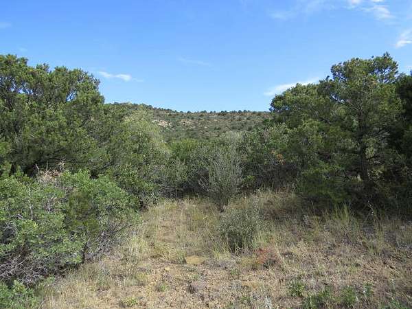 40 Acres of Land for Sale in Trinidad, Colorado
