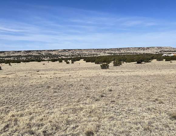 40 Acres of Land for Sale in Tyrone, Colorado