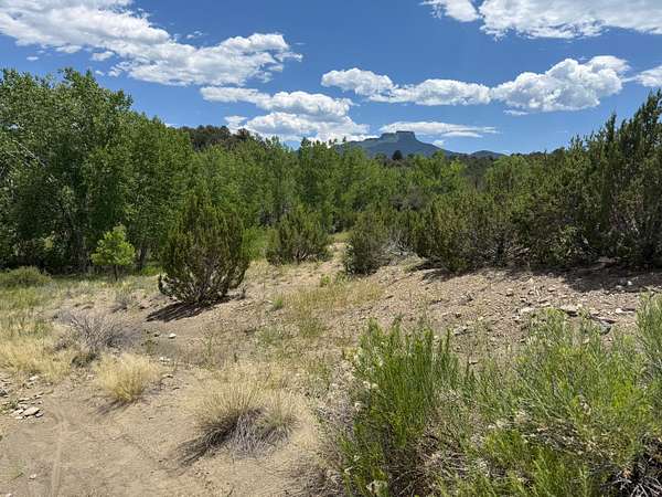 28 Acres of Land for Sale in Trinidad, Colorado