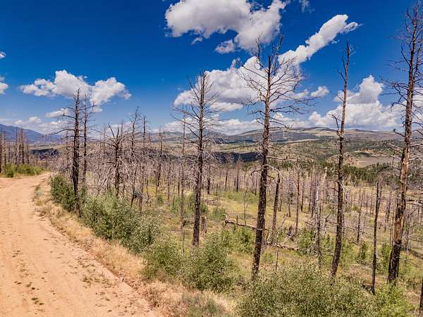 1 Acre of Land for Sale in Fort Garland, Colorado