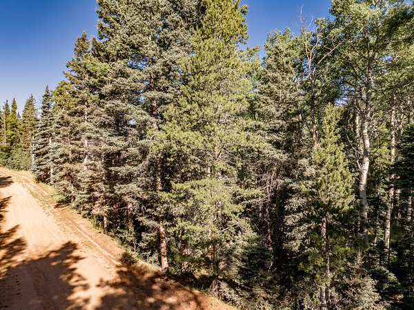 1 Acre of Land for Sale in Fort Garland, Colorado