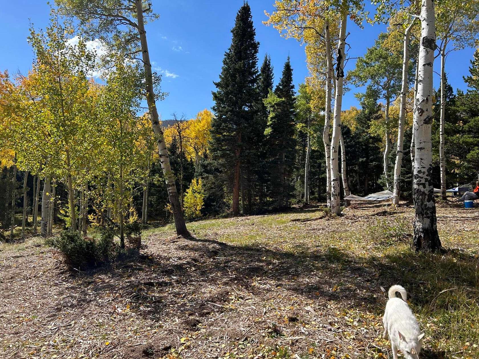 1 Acre of Land for Sale in Cuchara, Colorado