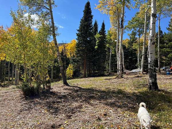 1 Acre of Land for Sale in Cuchara, Colorado