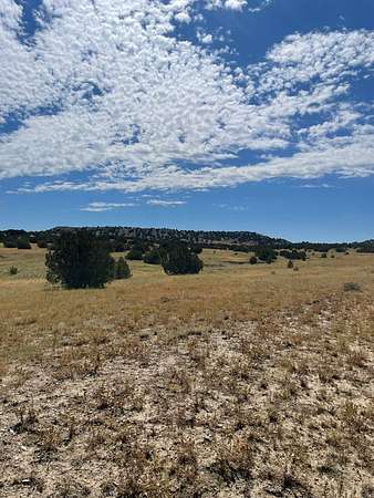 35 Acres of Land for Sale in Model, Colorado