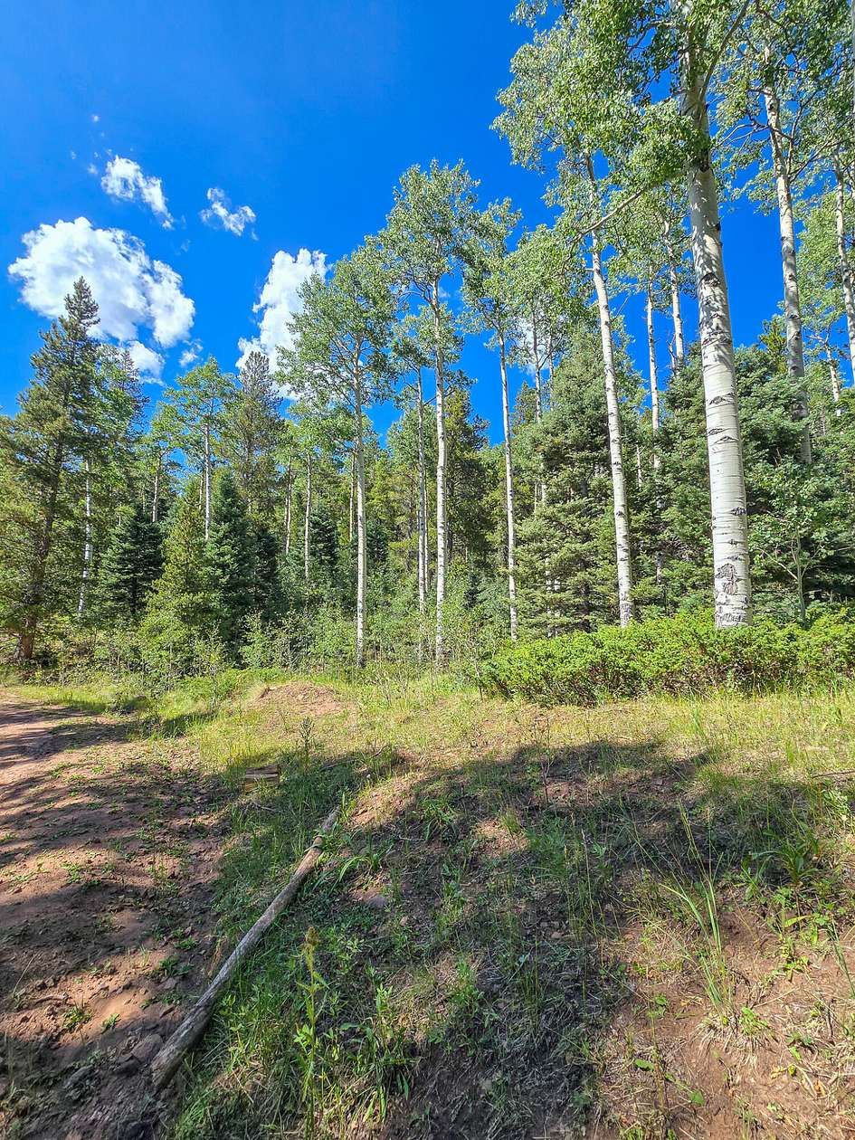 2 Acres of Land for Sale in Fort Garland, Colorado
