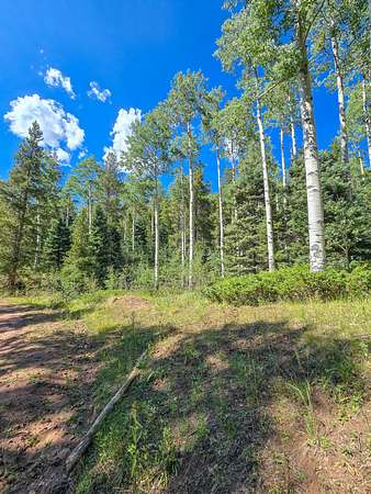 2 Acres of Land for Sale in Fort Garland, Colorado