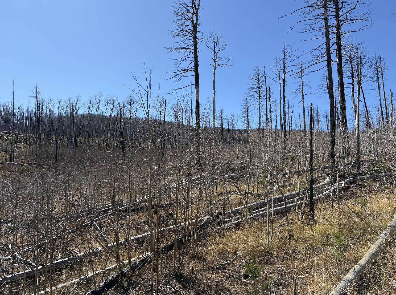 1 Acre of Land for Sale in Fort Garland, Colorado