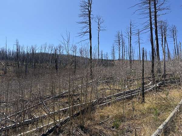 1 Acre of Land for Sale in Fort Garland, Colorado