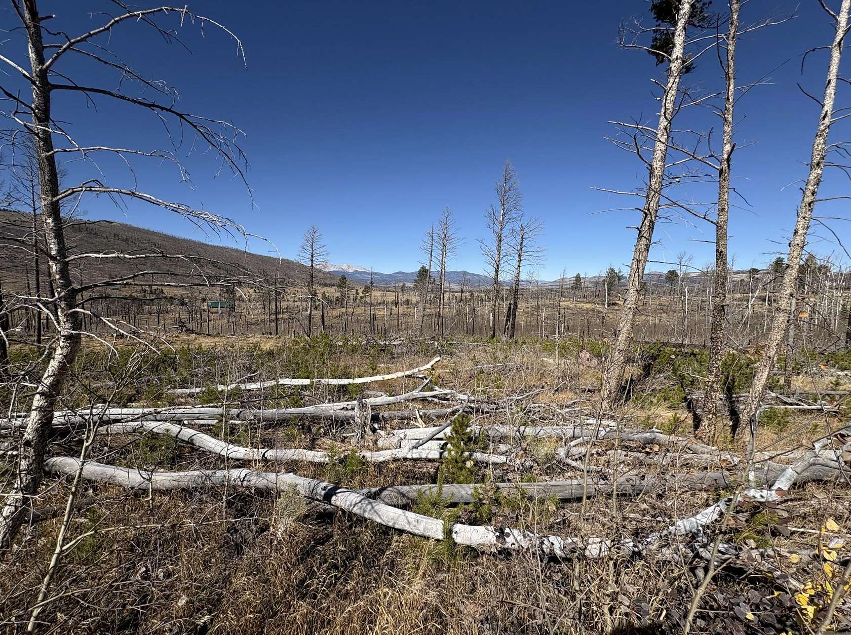 1 Acre of Land for Sale in Fort Garland, Colorado