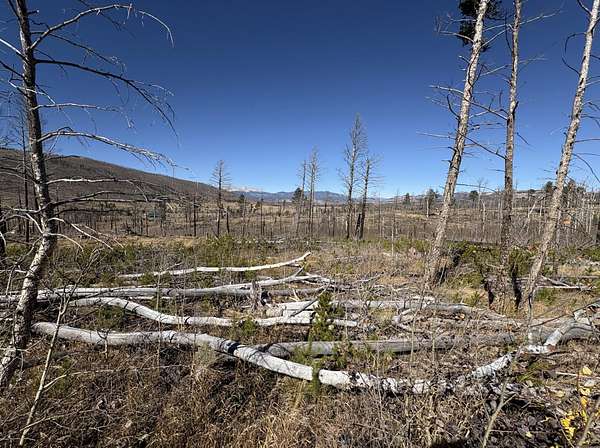 1 Acre of Land for Sale in Fort Garland, Colorado
