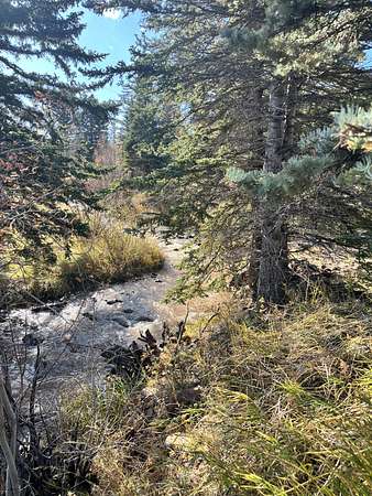 0.81 Acres of Land for Sale in Cuchara, Colorado