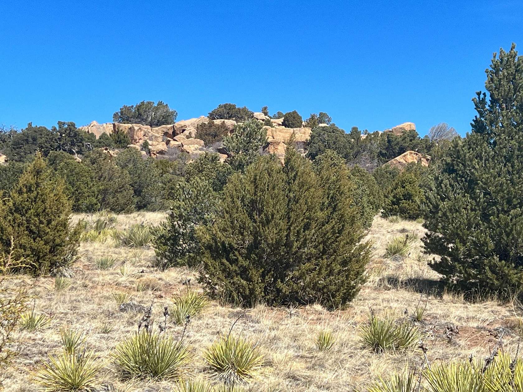 2 Acres of Land for Sale in Walsenburg, Colorado