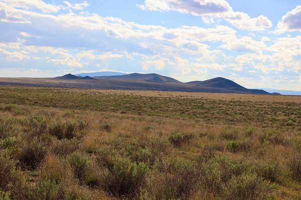 20 Acres of Land for Sale in San Luis, Colorado