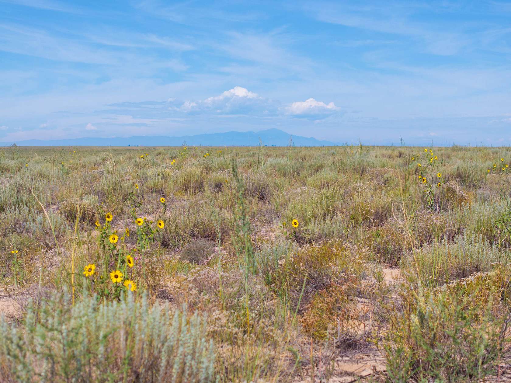 40 Acres of Land for Sale in Boone, Colorado