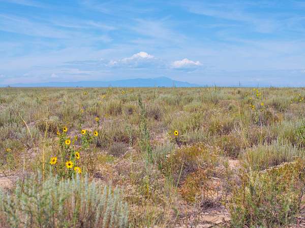 40 Acres of Land for Sale in Boone, Colorado