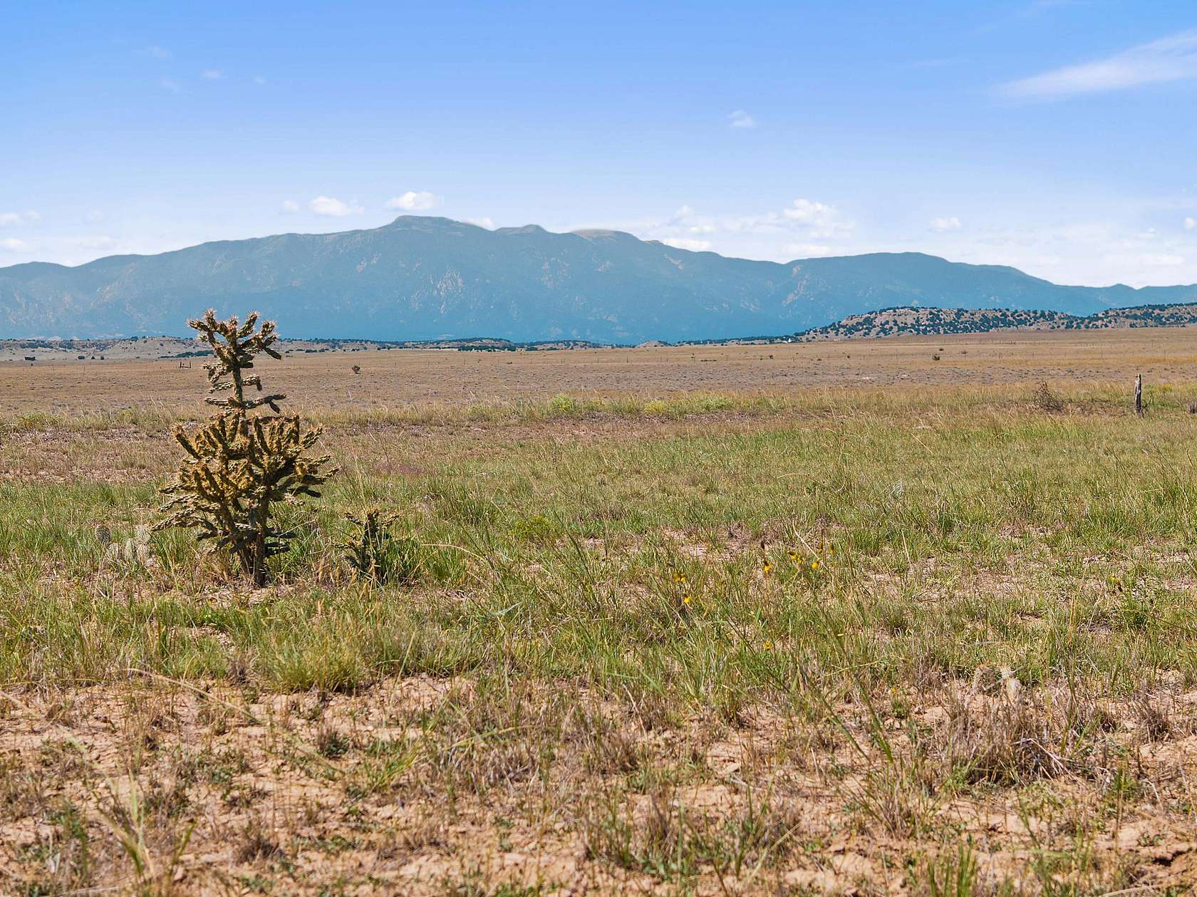 36 Acres of Land for Sale in Rye, Colorado