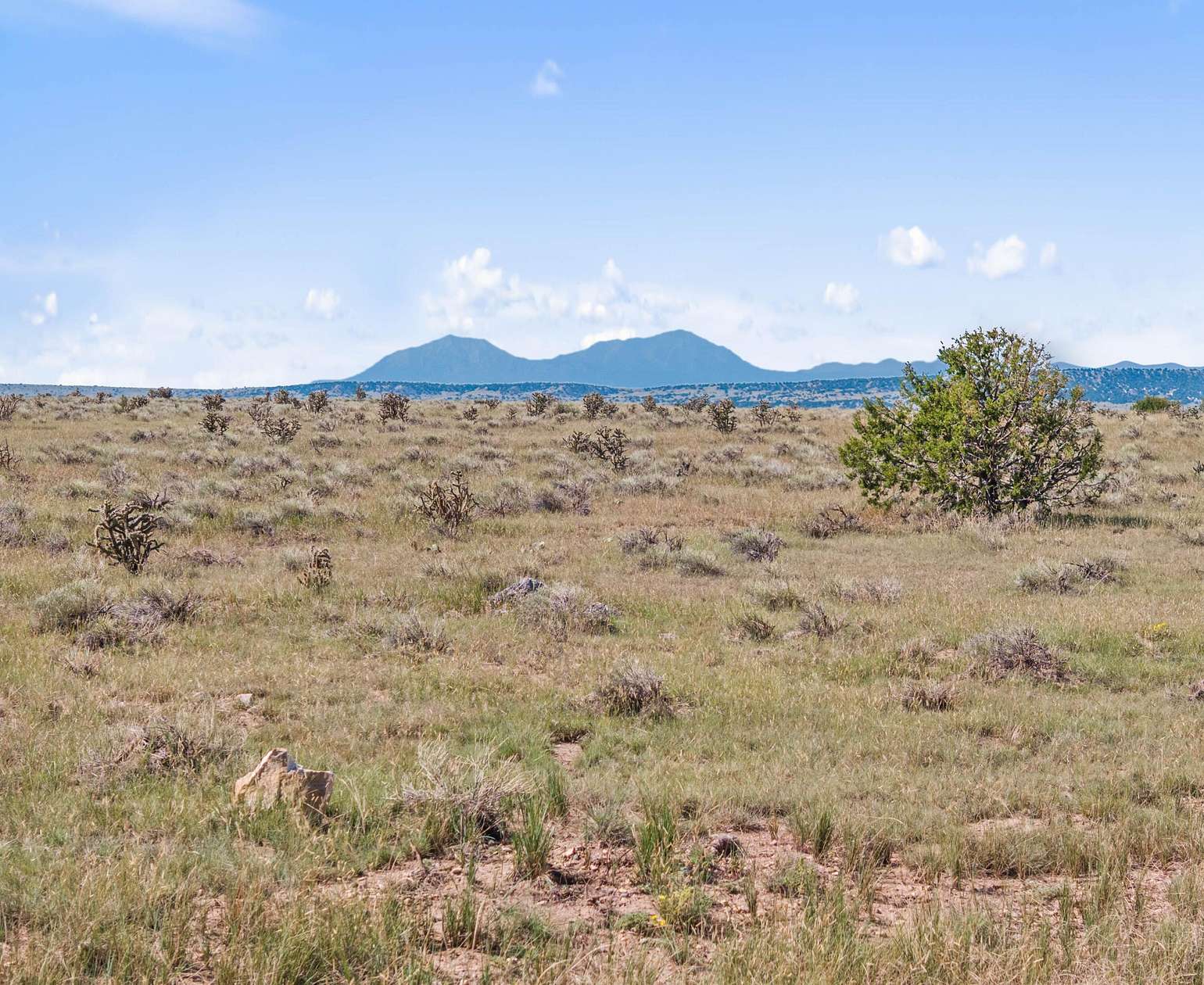 46 Acres of Land for Sale in Walsenburg, Colorado