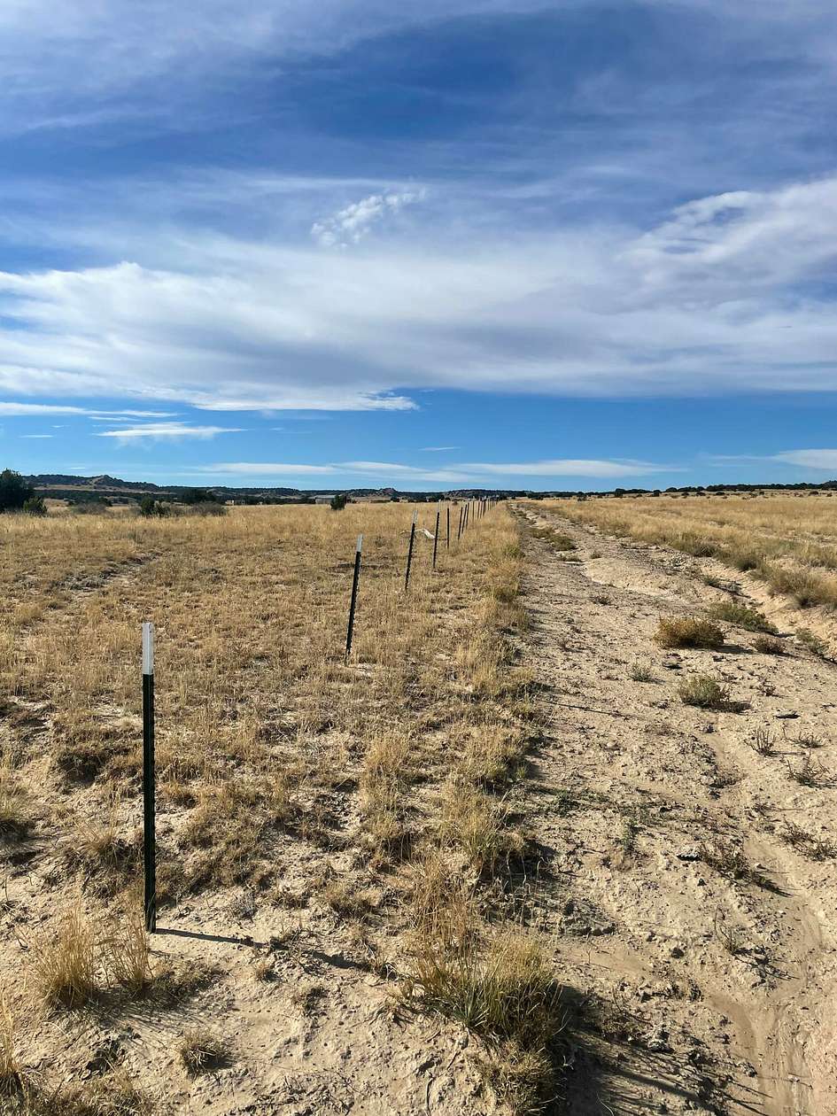 70 Acres of Land for Sale in Model, Colorado