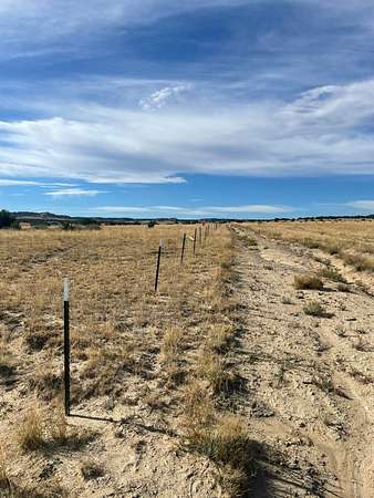 70 Acres of Land for Sale in Model, Colorado
