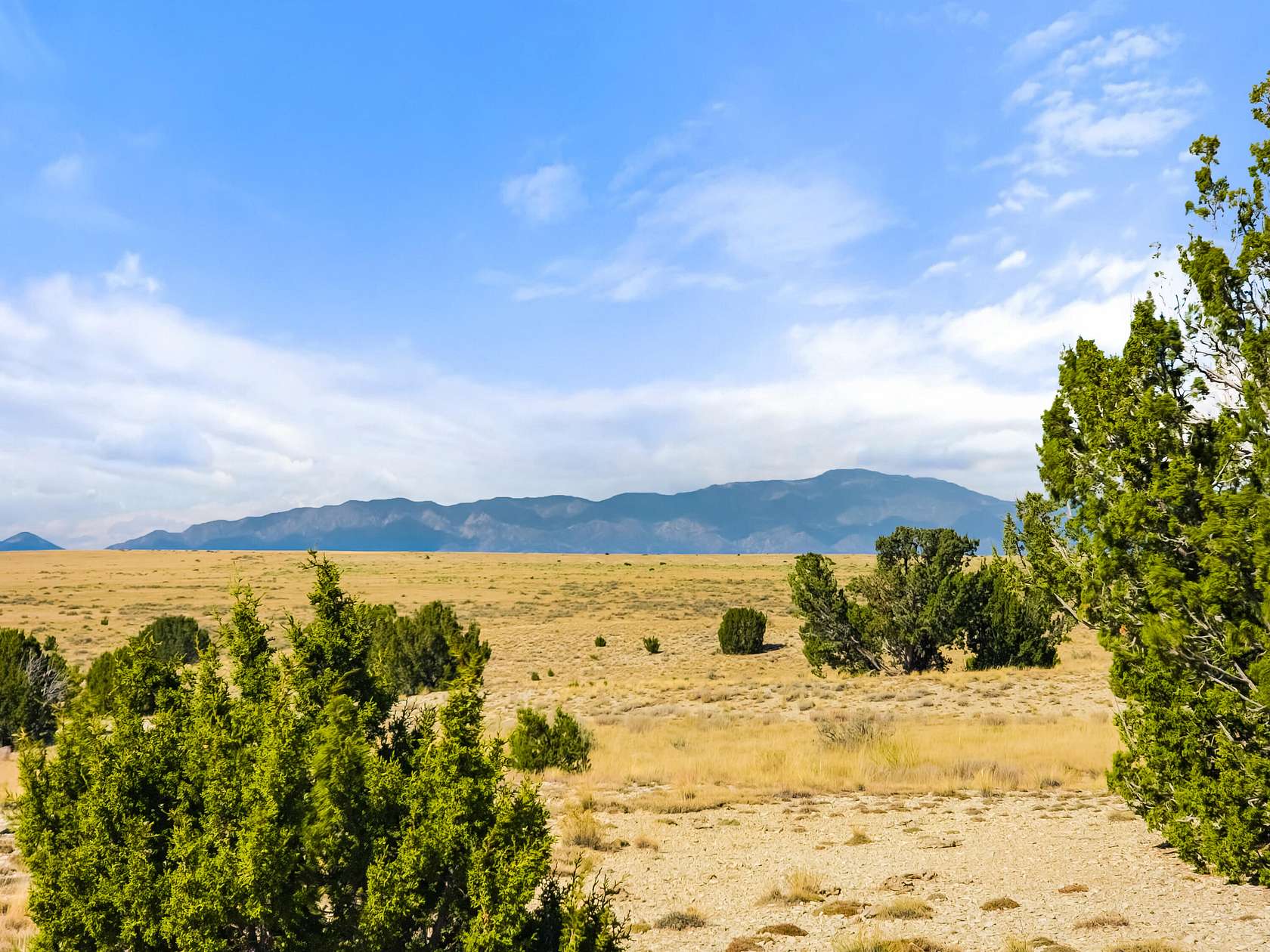 80 Acres of Land for Sale in Walsenburg, Colorado