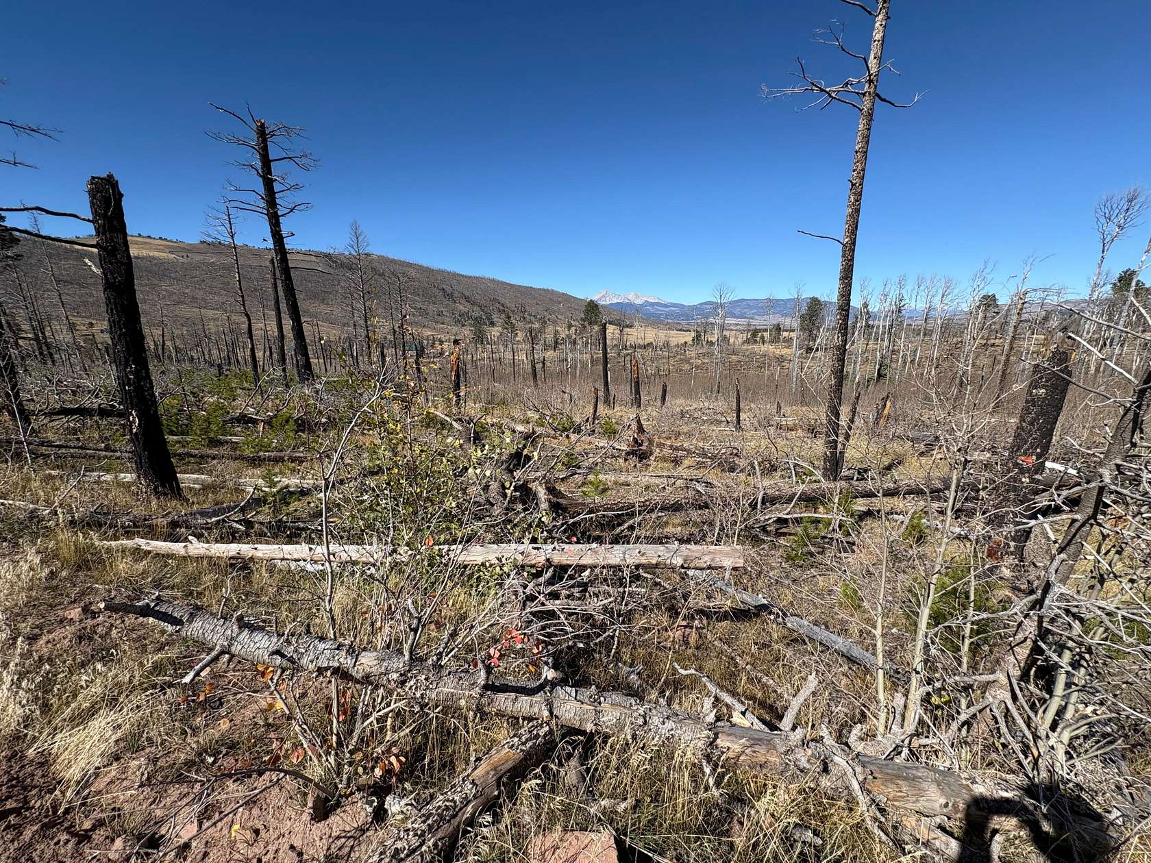 1 Acre of Land for Sale in Fort Garland, Colorado