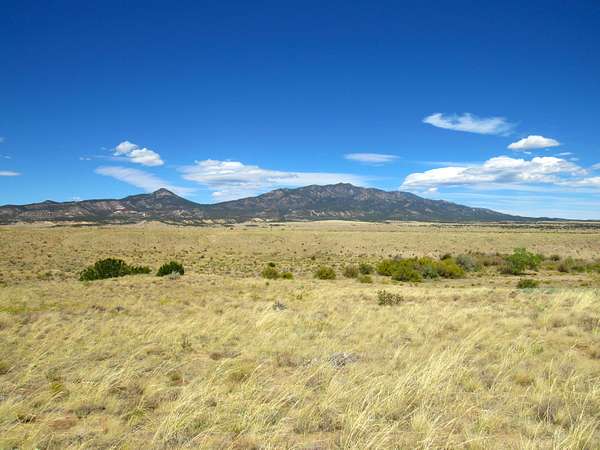 44 Acres of Land for Sale in Walsenburg, Colorado