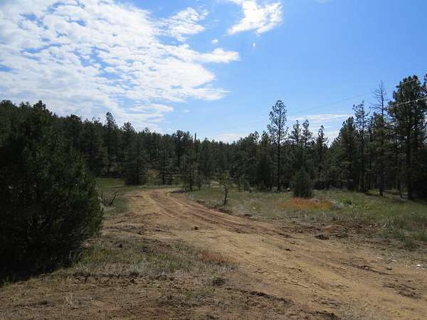 10 Acres of Land for Sale in Weston, Colorado