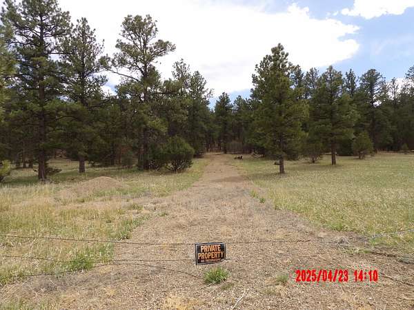 5 Acres of Land for Sale in Boncarbo, Colorado