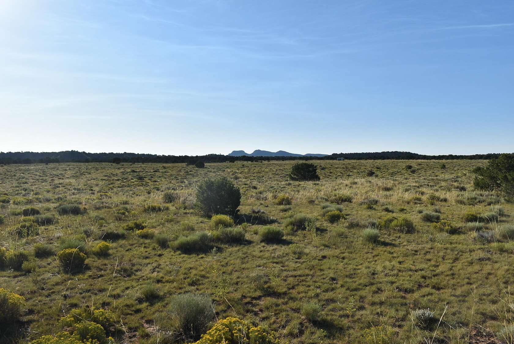 35 Acres of Land for Sale in Gardner, Colorado