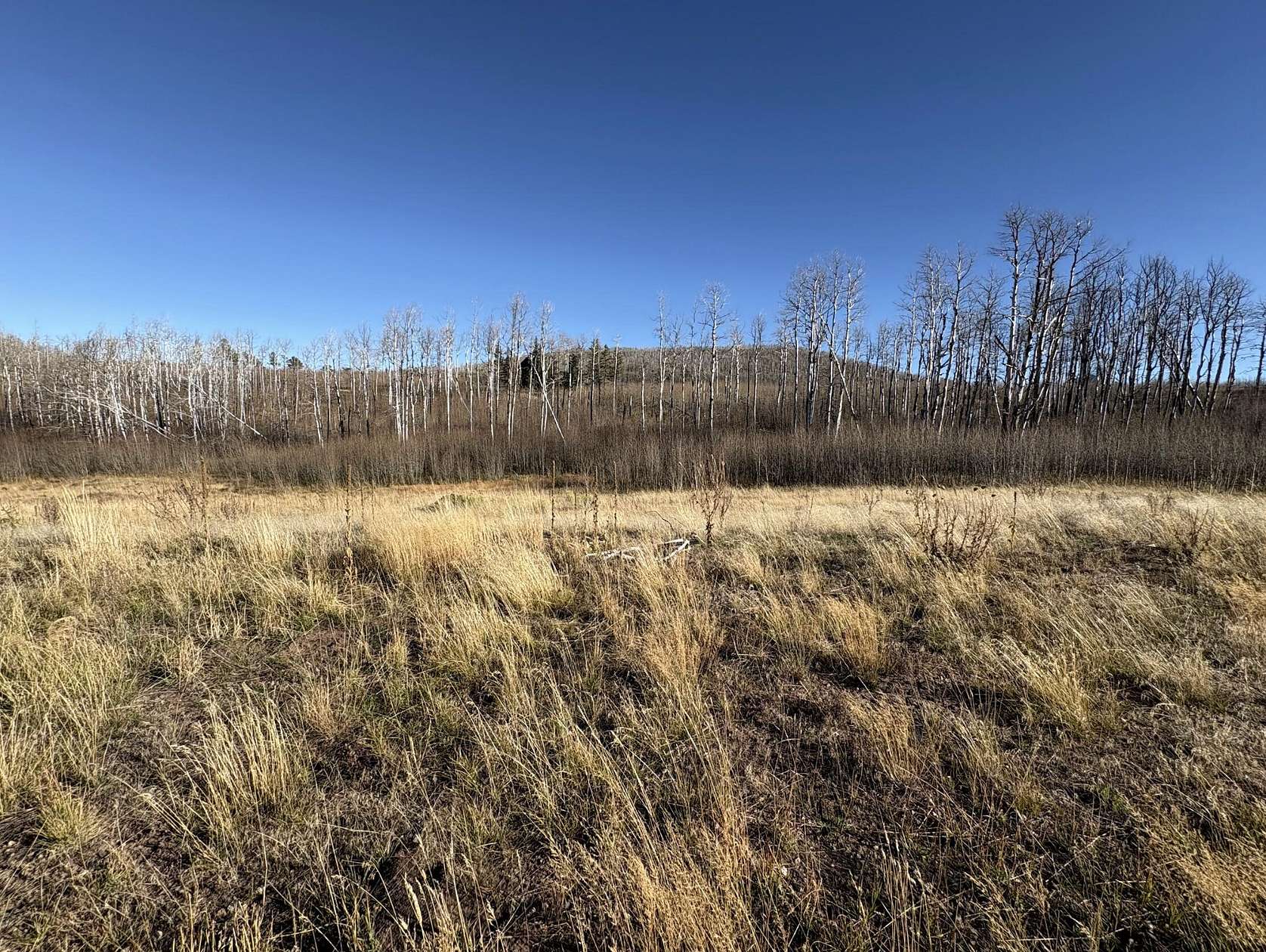 2 Acres of Land for Sale in Fort Garland, Colorado