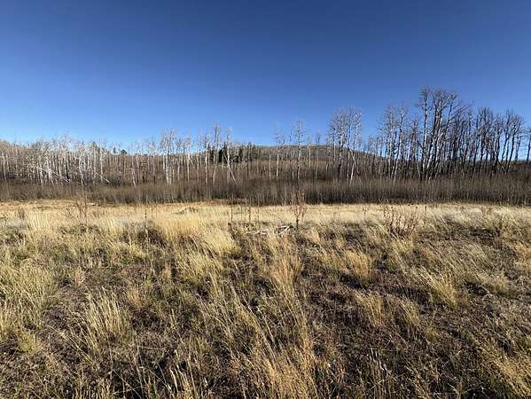 2 Acres of Land for Sale in Fort Garland, Colorado