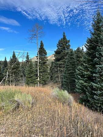 Land for Sale in Cuchara, Colorado