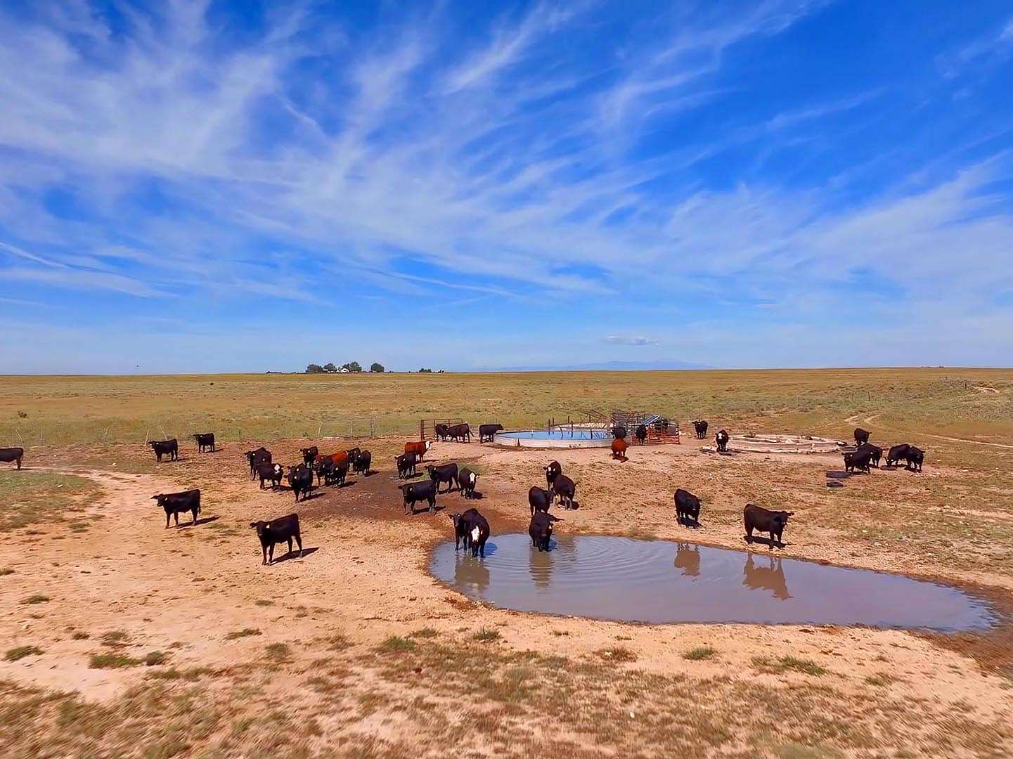 4,005 Acres of Recreational Land & Farm for Sale in Olney Springs, Colorado