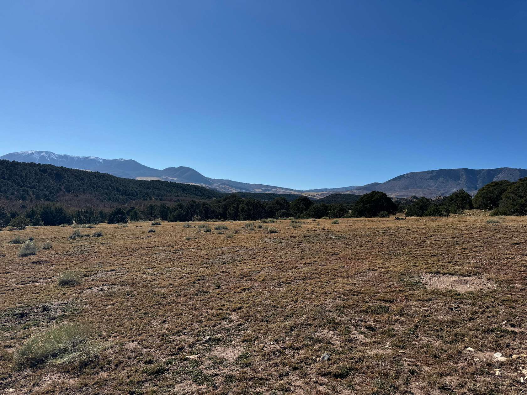 35 Acres of Land for Sale in Walsenburg, Colorado