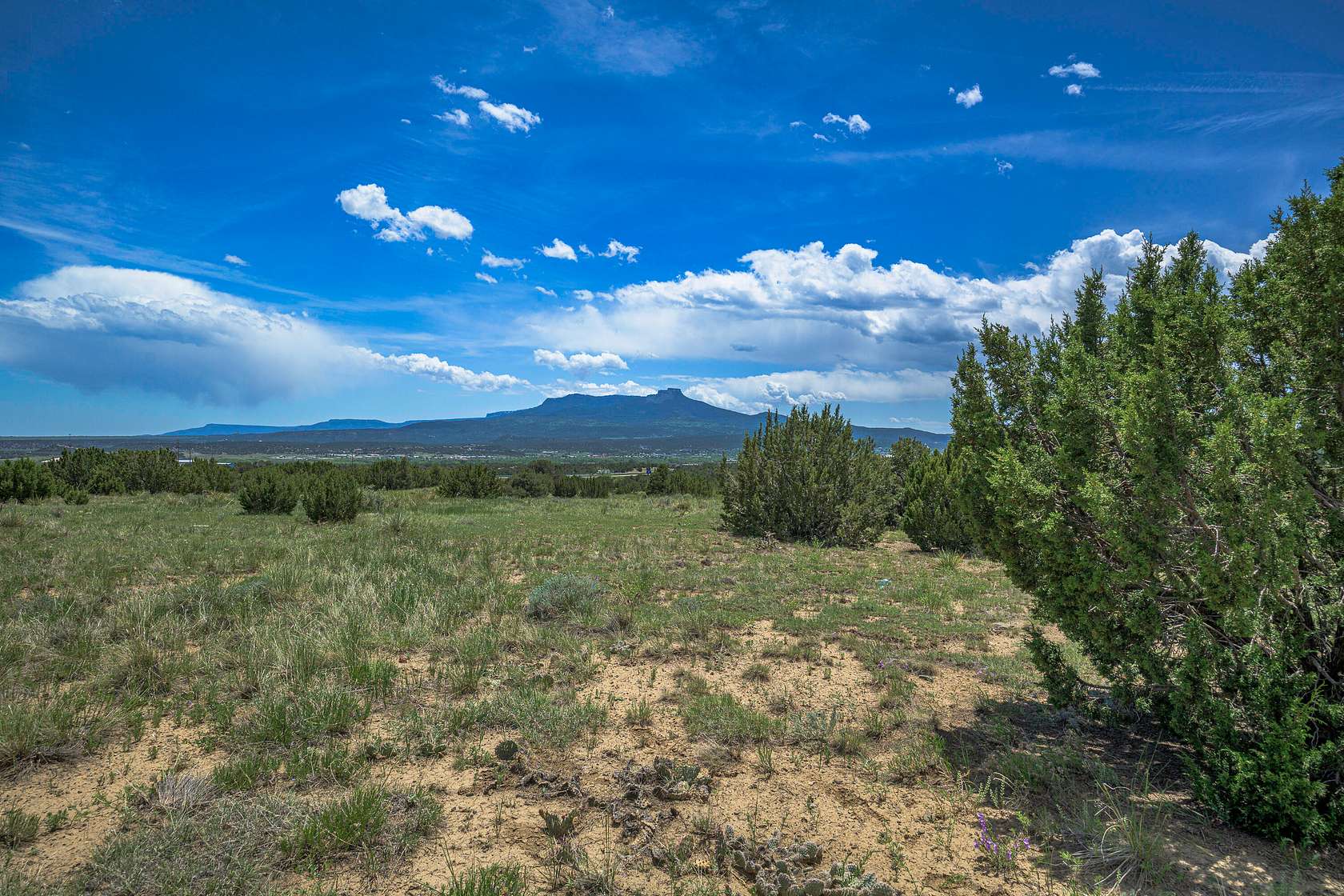 36 Acres of Land for Sale in Trinidad, Colorado